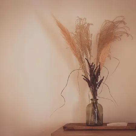 Apartamento Ca La Tendeta